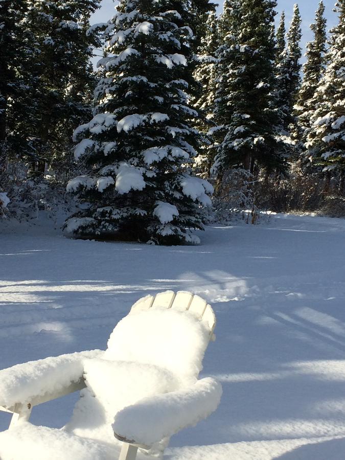 هيلي Denali Primrose Bed & Breakfast المظهر الخارجي الصورة