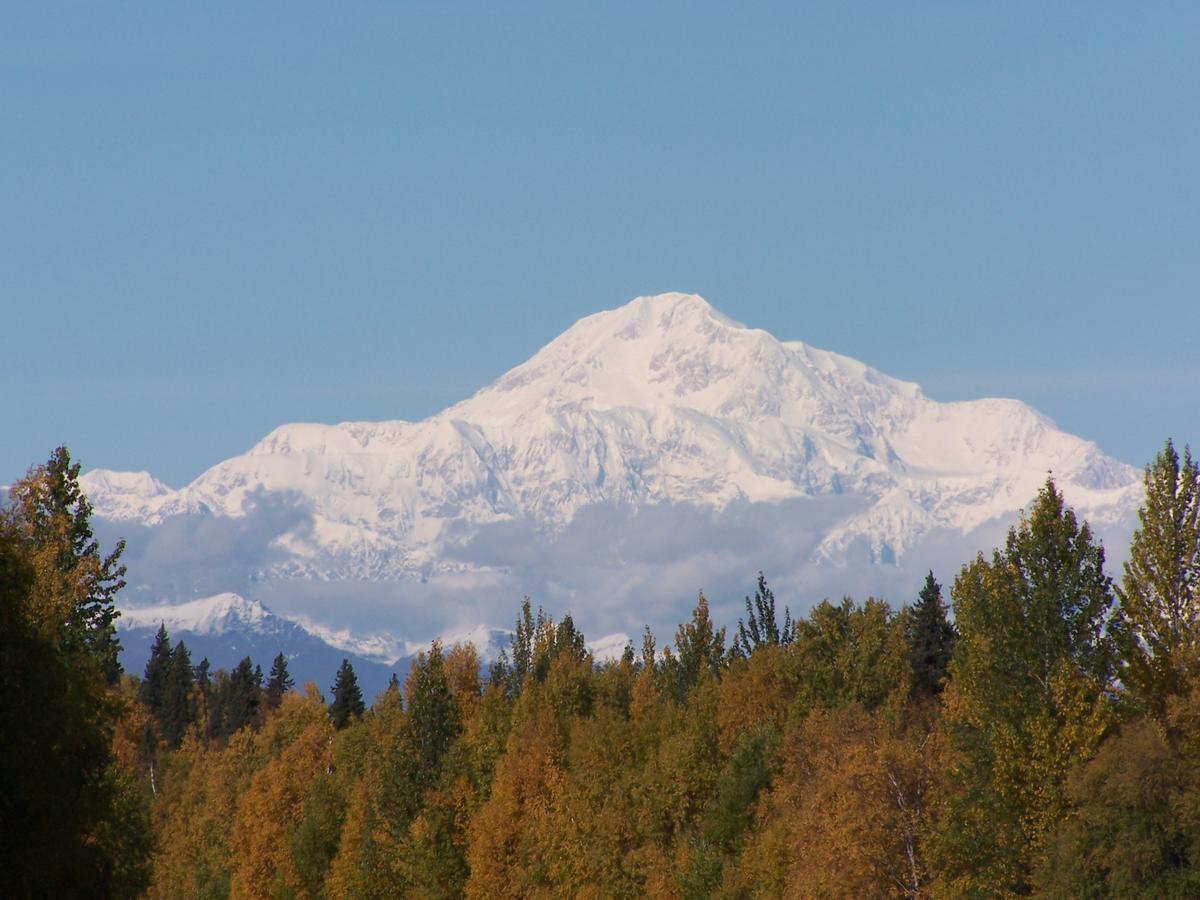 هيلي Denali Primrose Bed & Breakfast المظهر الخارجي الصورة