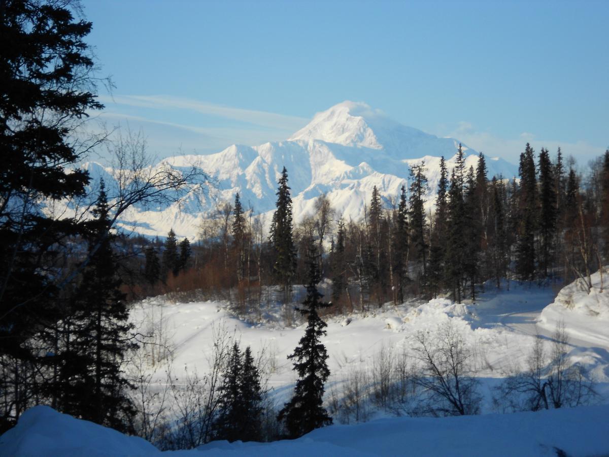 هيلي Denali Primrose Bed & Breakfast المظهر الخارجي الصورة
