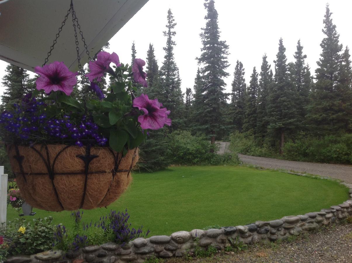 هيلي Denali Primrose Bed & Breakfast المظهر الخارجي الصورة