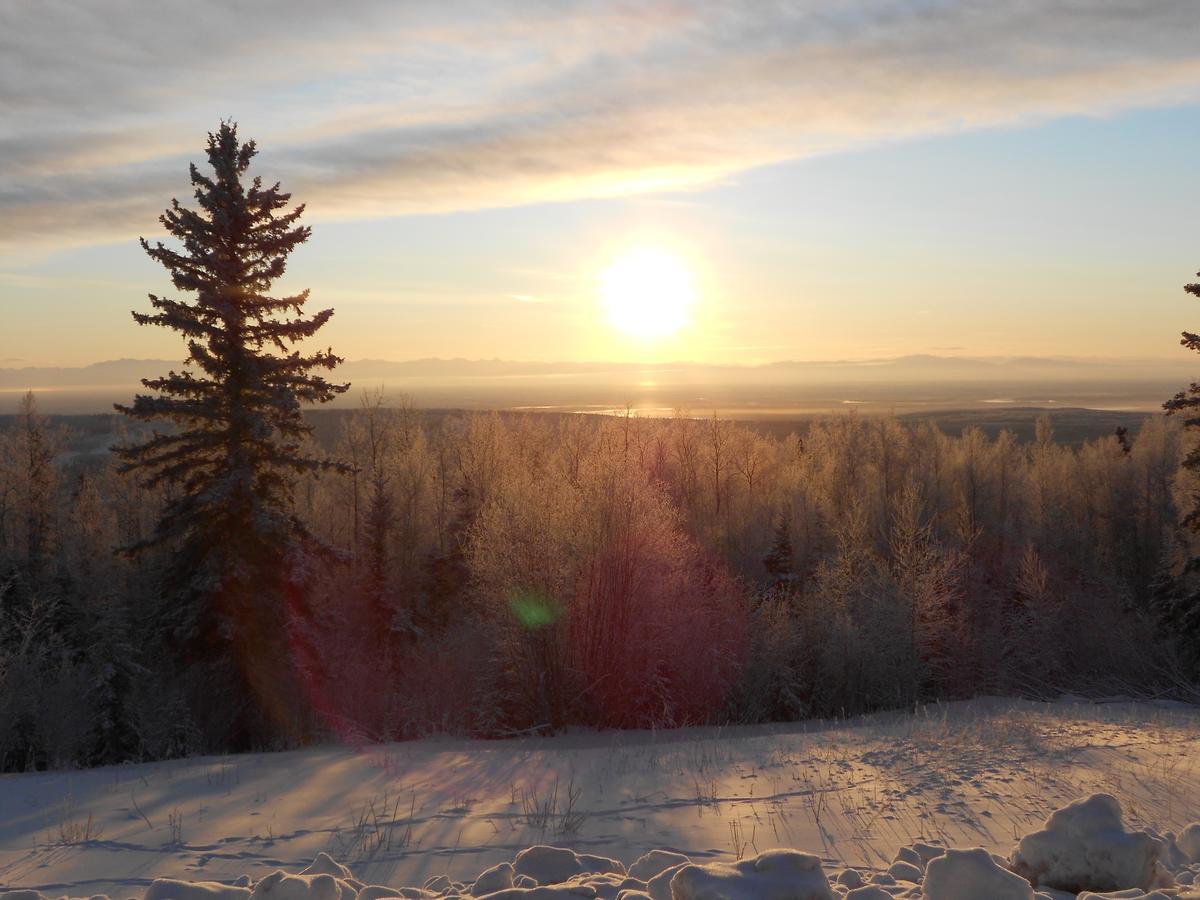 هيلي Denali Primrose Bed & Breakfast المظهر الخارجي الصورة