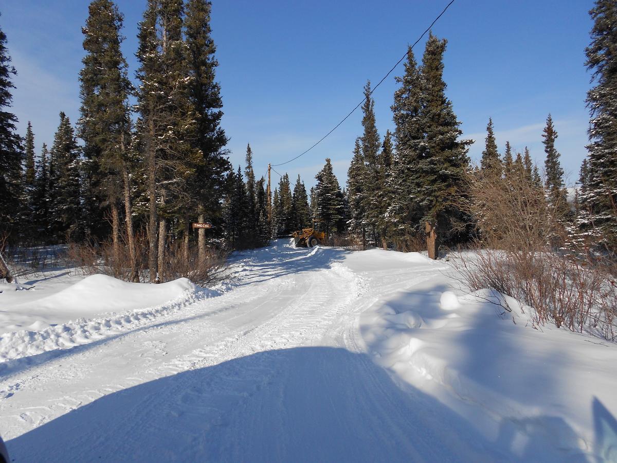 هيلي Denali Primrose Bed & Breakfast المظهر الخارجي الصورة