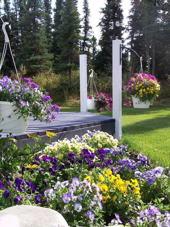 هيلي Denali Primrose Bed & Breakfast المظهر الخارجي الصورة